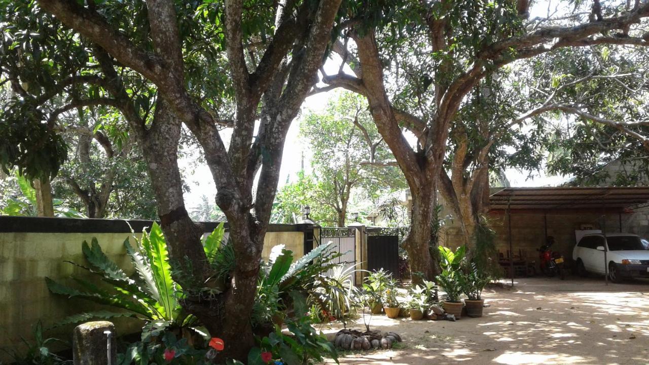 Water Front Home Stay And Resort Anuradhapura Esterno foto